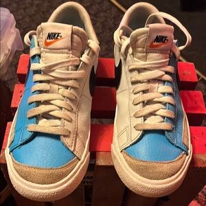 Nike Blazer Low ‘77 casual/skate